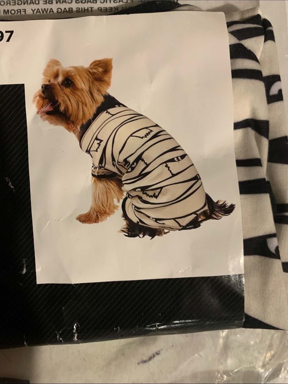 Celebrate! Neon Skeleton Dog Pajama - Neon Skeleton & Mummmy - Picture 2 of 4